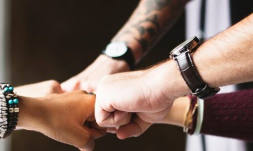 Seve quality hoa board member