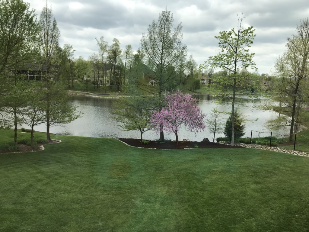 Customer Success Stories: Wolf Lake HOA and Neigbrs by Vinteum 1 Wolf Lake HOA - Imags of the lake and trees